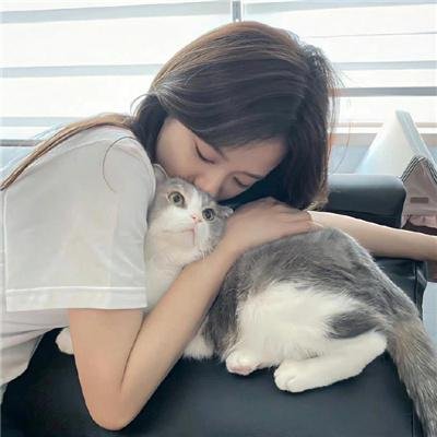 豺狼